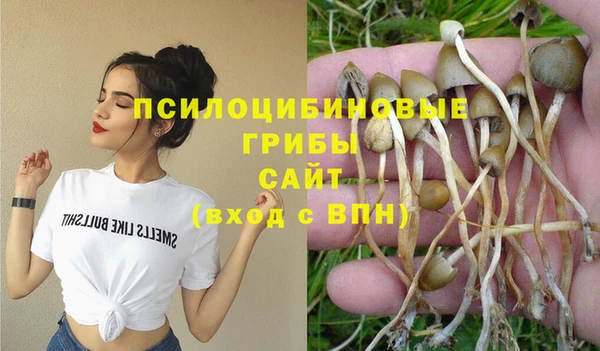кокаин Алексин