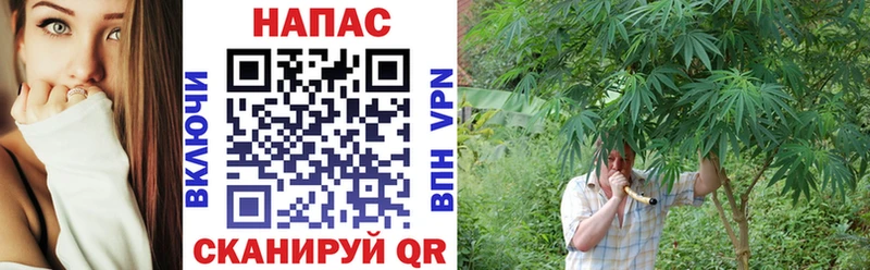 Конопля White Widow  купить наркотики цена  Барыш 